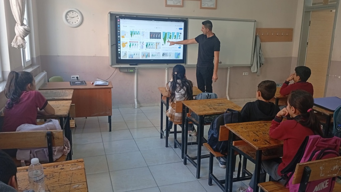 Filistin Toprak Bütünlüğü Hakkında Bilgilendirme